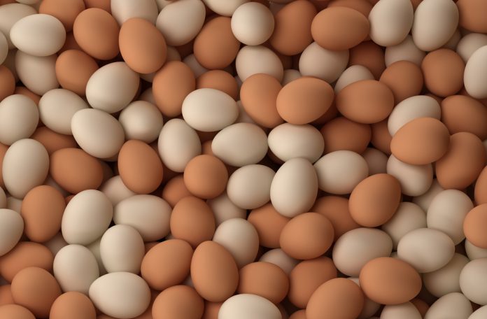 devmaster-eggs-696x456